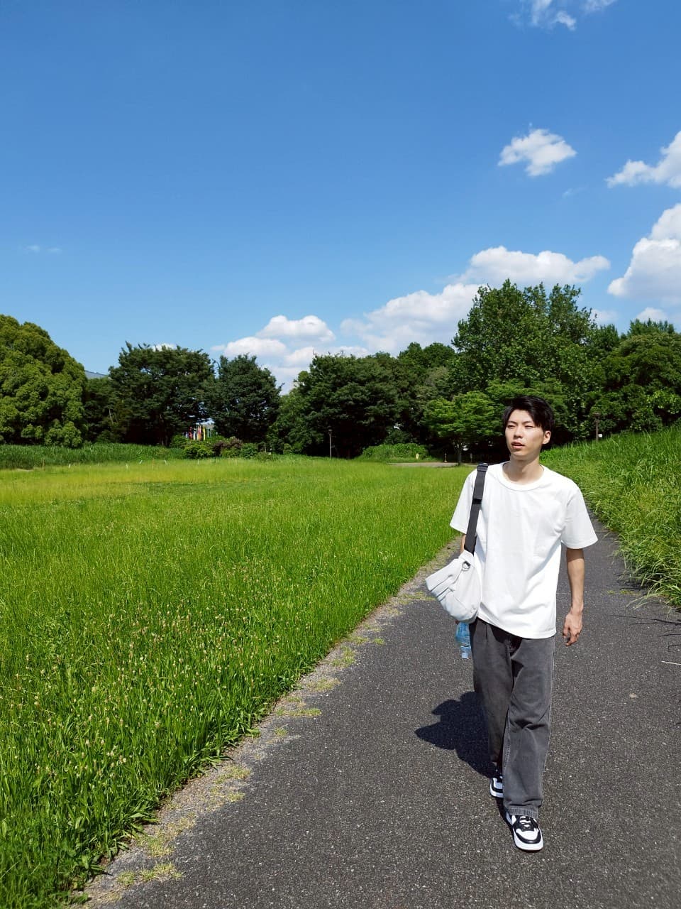Soma walking on a sunny path
